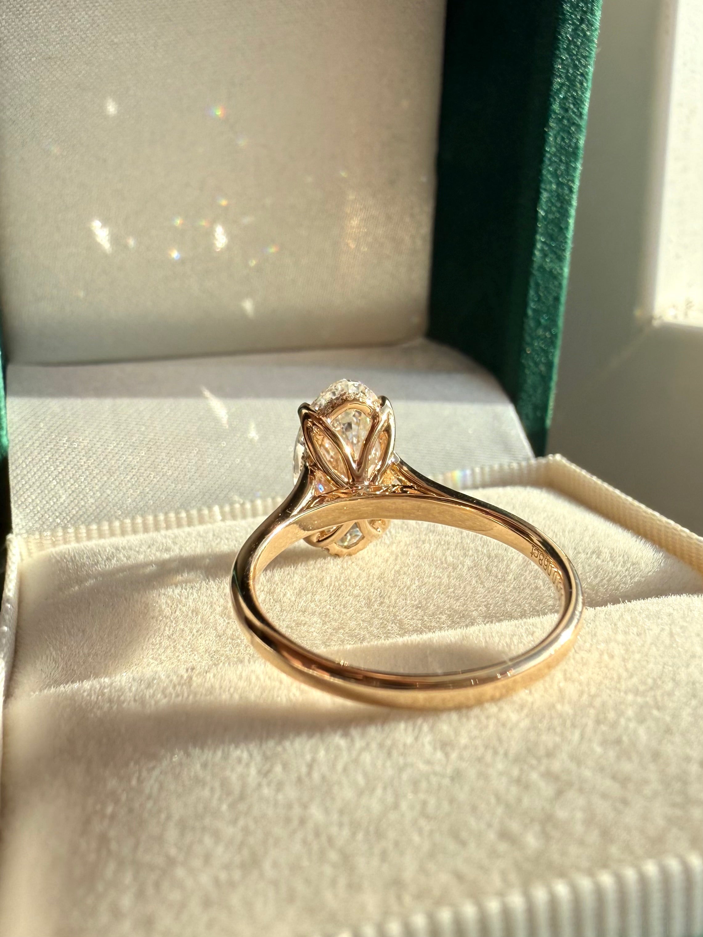 Nova - Moval Set (Evelyn)